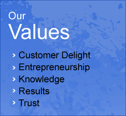 Our Values