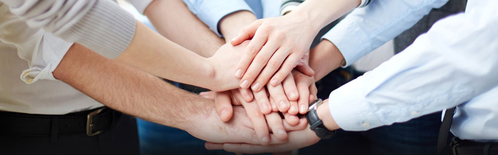 Career in Shell Infotech Jobs in Shell Infotech Shell Infotech Jobs