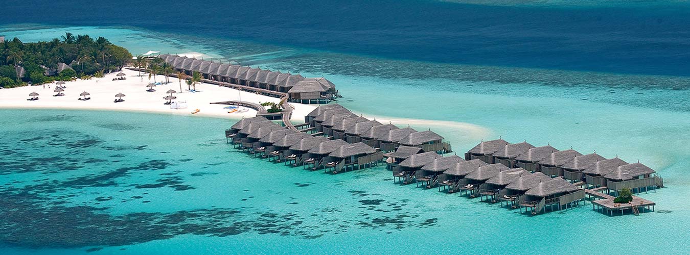 Sterling And Wilson Job Openings in Sterling And Wilson