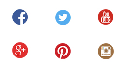 Social Share Icons