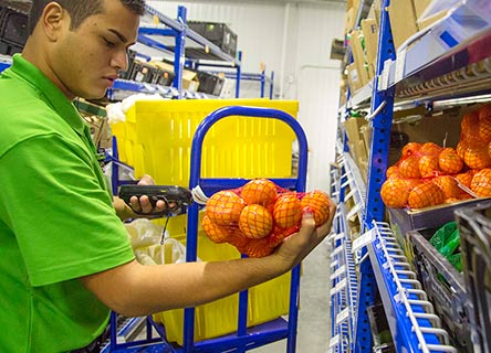 <img src="http://companies.naukri.com/walmartlabs-jobs/wp-content/uploads/sites/24791/2018/04/11.jpg"/><span>CASE STUDY: SUPPLY CHAIN TECHNOLOGY</span>