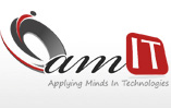 amIT Global Solutions