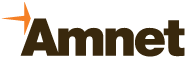 Amnet Systems