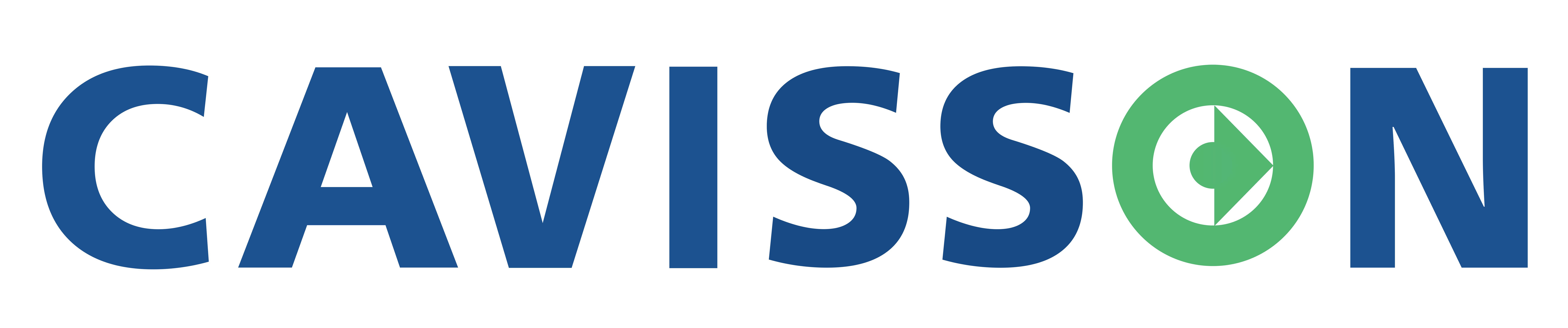 Cavisson System Inc