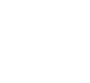 Cummins India