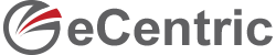 eCentric Solutions Pvt Ltd.