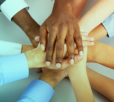 diversity