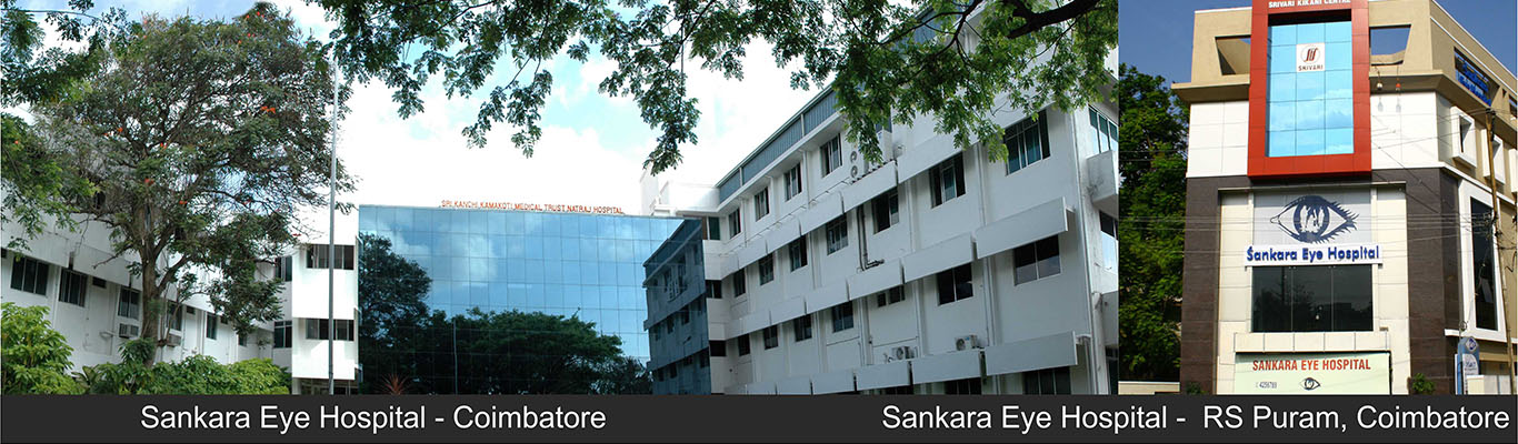 sankara eye foundation holi 2025