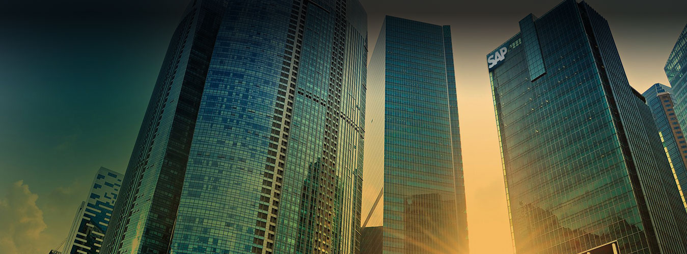 Job Description Shell Info Technologies Pvt Ltd. Jobs Career