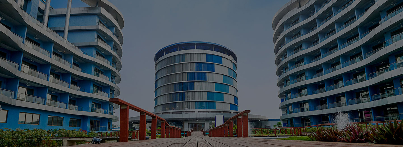 Sterling & Wilson Jobs Job Openings in Sterling & Wilson