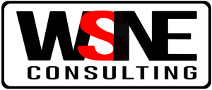WSNE Consulting Pvt. Ltd.